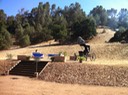 IMG 0312